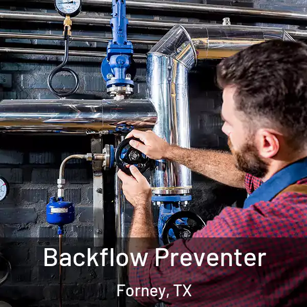  Backflow Preventer Forney, TX