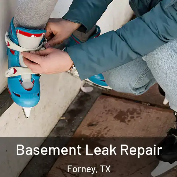  Basement Leak Repair Forney, TX