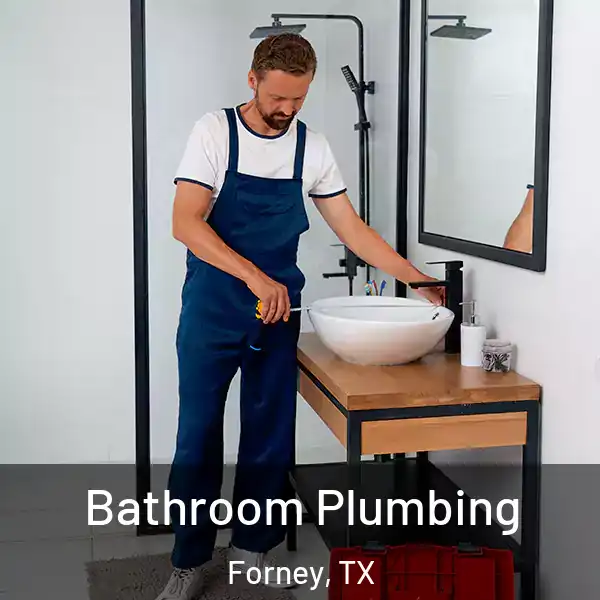  Bathroom Plumbing Forney, TX