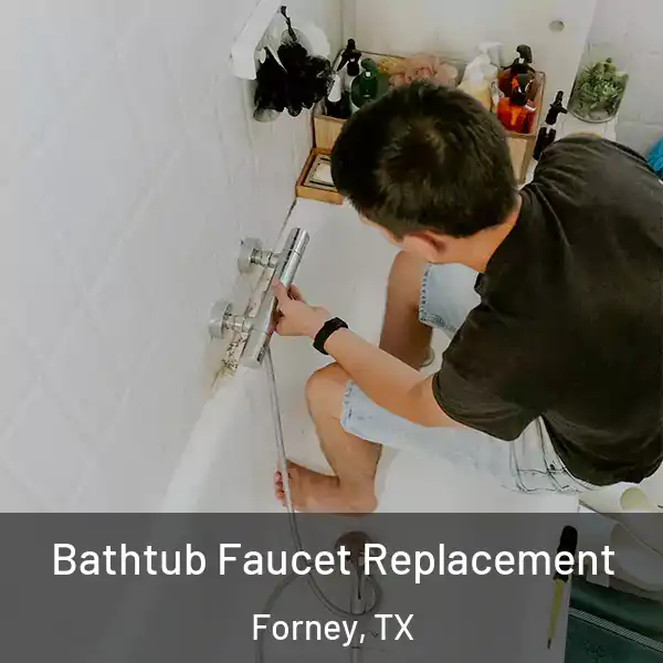  Bathtub Faucet Replacement Forney, TX