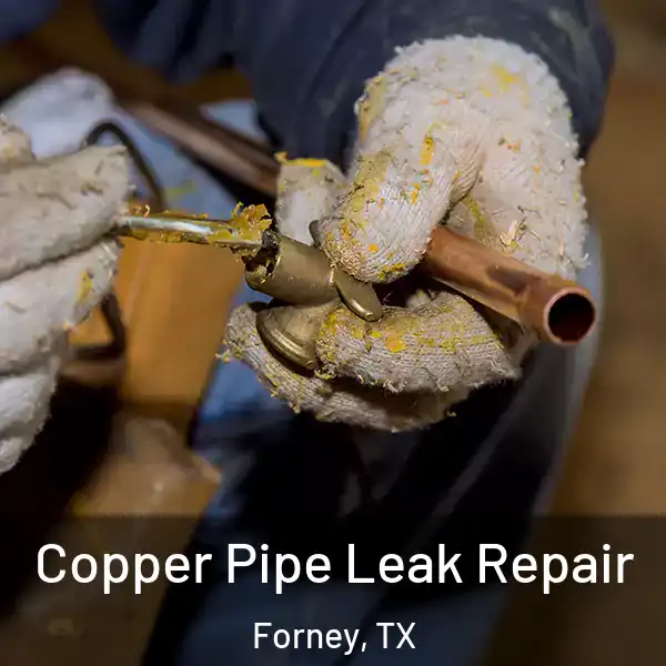  Copper Pipe Leak Repair Forney, TX