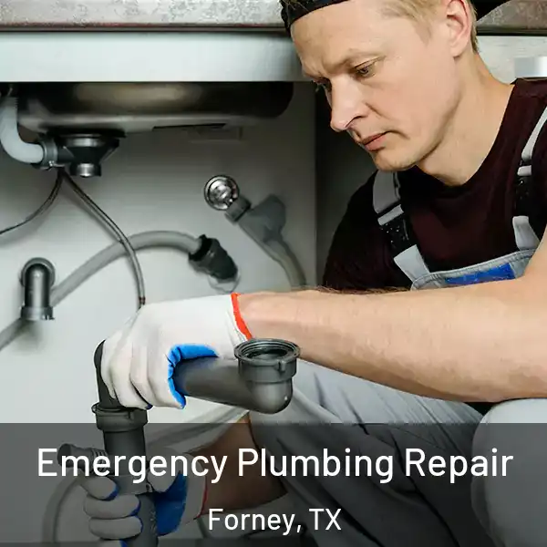  Emergency Plumbing Repair Forney, TX