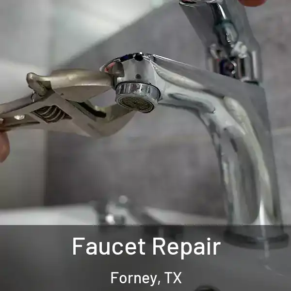  Faucet Repair Forney, TX