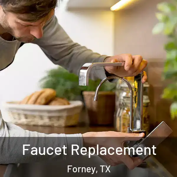  Faucet Replacement Forney, TX