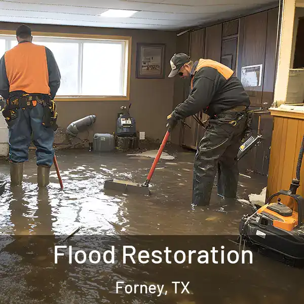  Flood Restoration Forney, TX