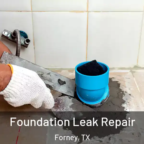  Foundation Leak Repair Forney, TX