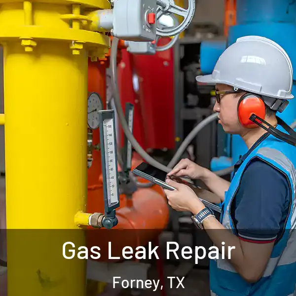  Gas Leak Repair Forney, TX