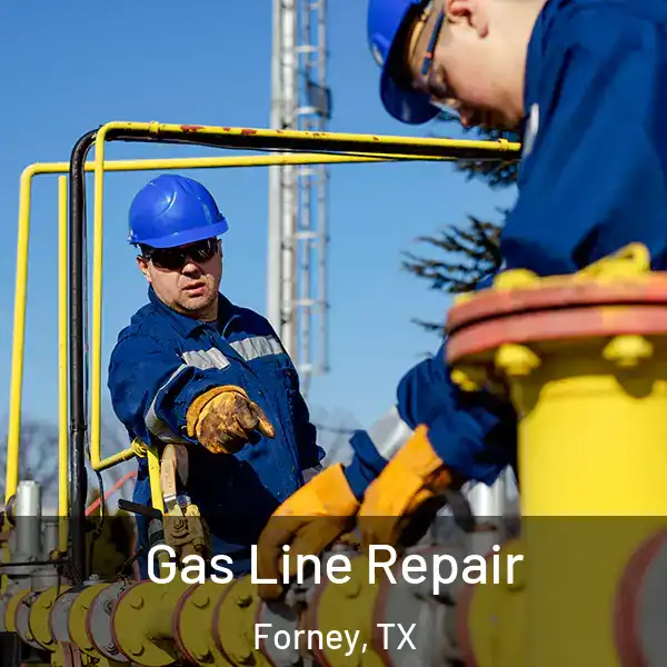  Gas Line Repair Forney, TX