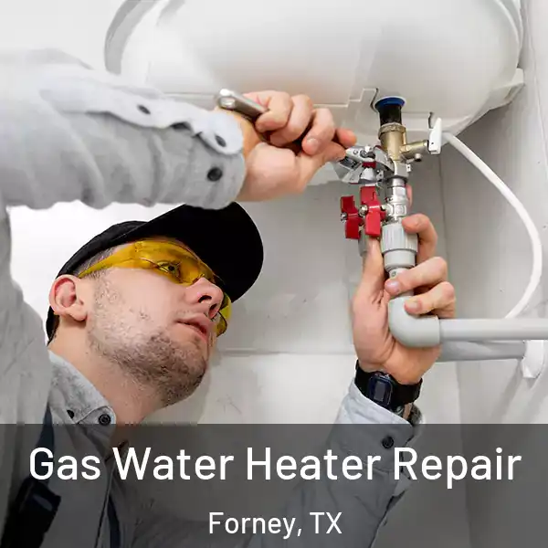  Gas Water Heater Repair Forney, TX