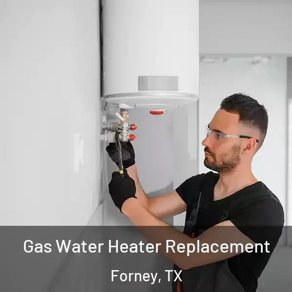  Gas Water Heater Replacement Forney, TX