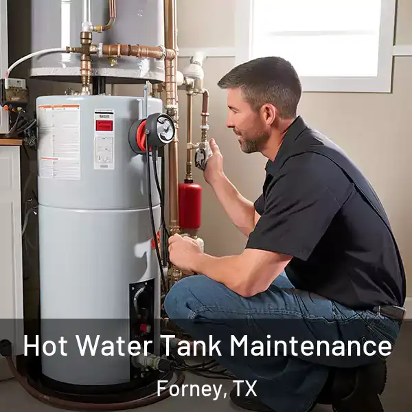  Hot Water Tank Maintenance Forney, TX