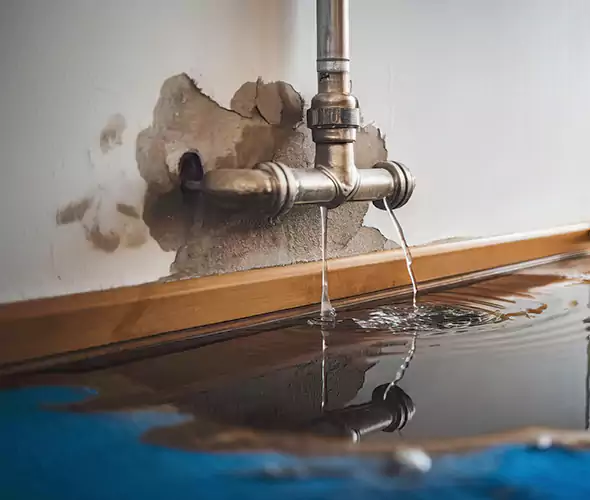 Professional Water Damage Restoration Experts in Forney, TX — Fast, Reliable & Certified
