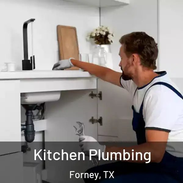  Kitchen Plumbing Forney, TX