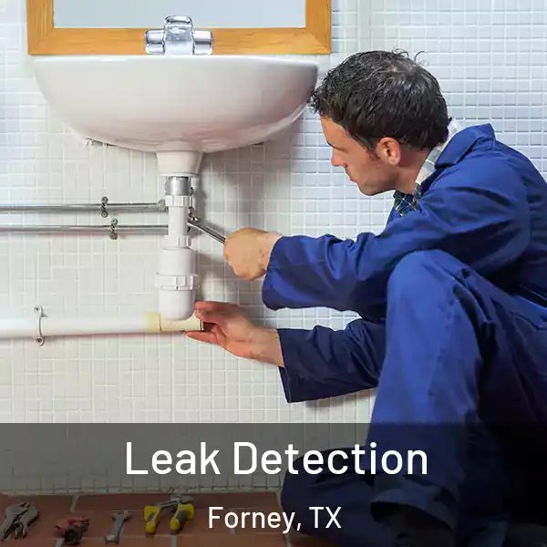  Leak Detection Forney, TX