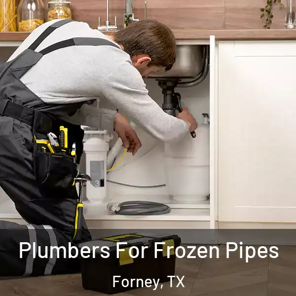  Plumbers For Frozen Pipes Forney, TX