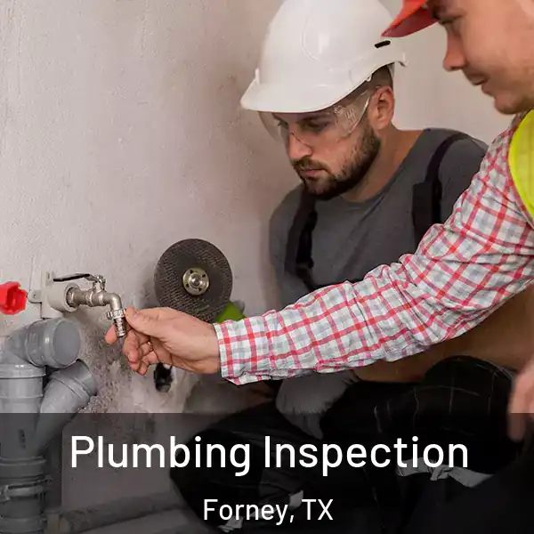  Plumbing Inspection Forney, TX