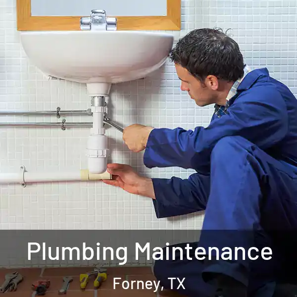  Plumbing Maintenance Forney, TX