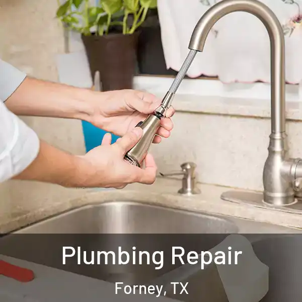  Plumbing Repair Forney, TX