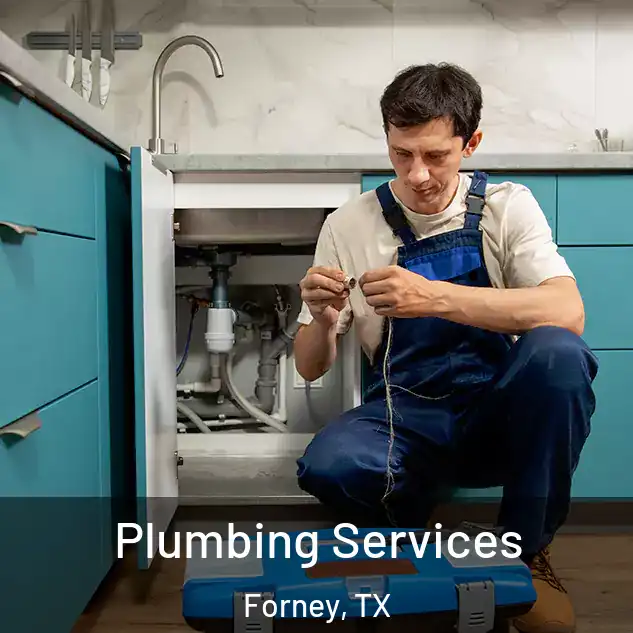  Plumbing Services Forney, TX