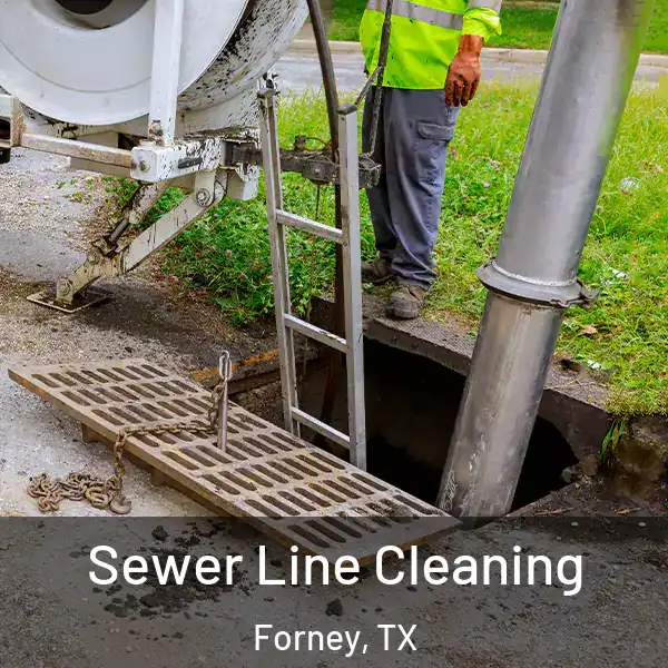  Sewer Line Cleaning Forney, TX