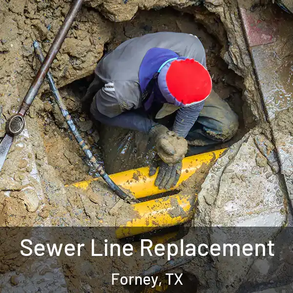  Sewer Line Replacement Forney, TX