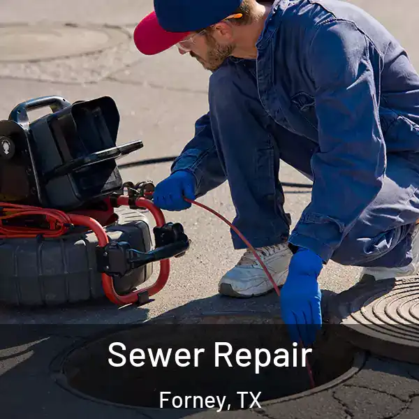  Sewer Repair Forney, TX