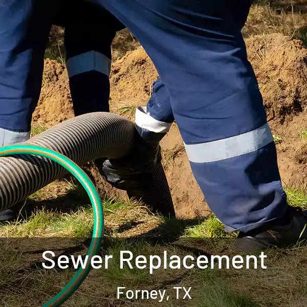  Sewer Replacement Forney, TX