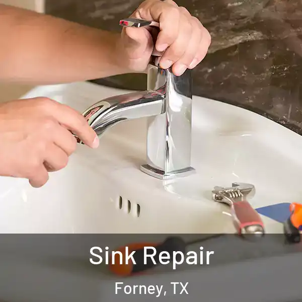  Sink Repair Forney, TX