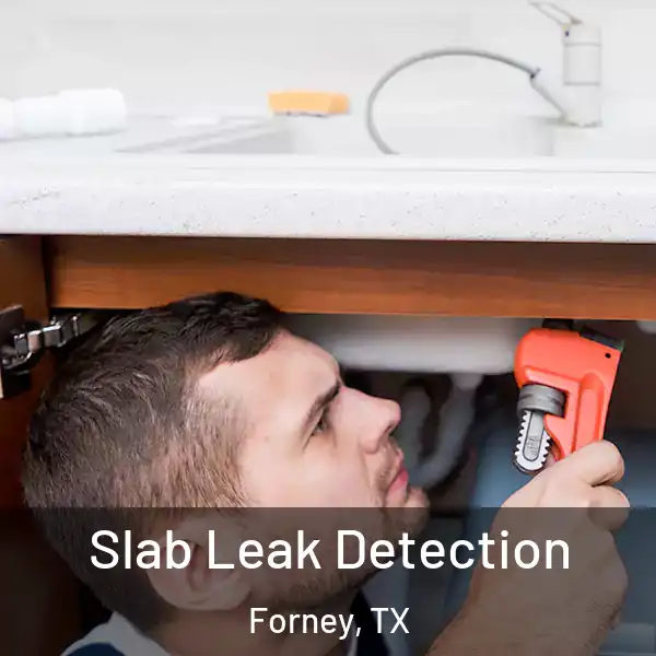  Slab Leak Detection Forney, TX
