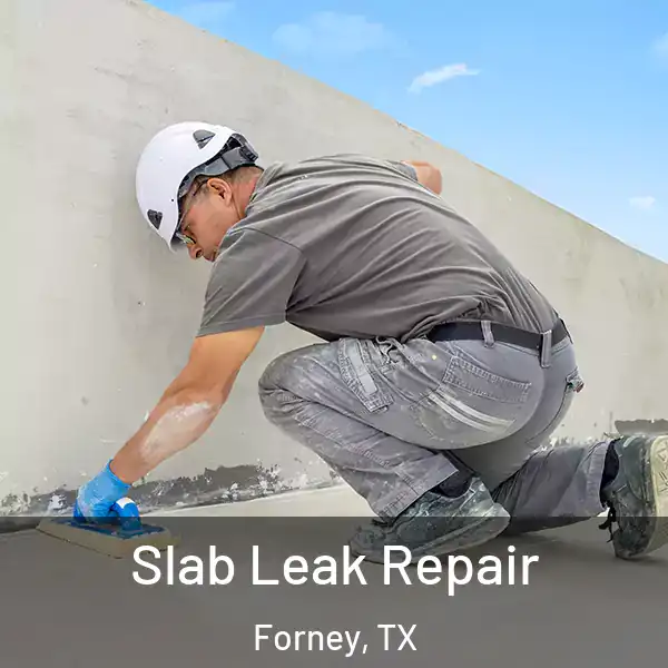 Slab Leak Repair Forney, TX