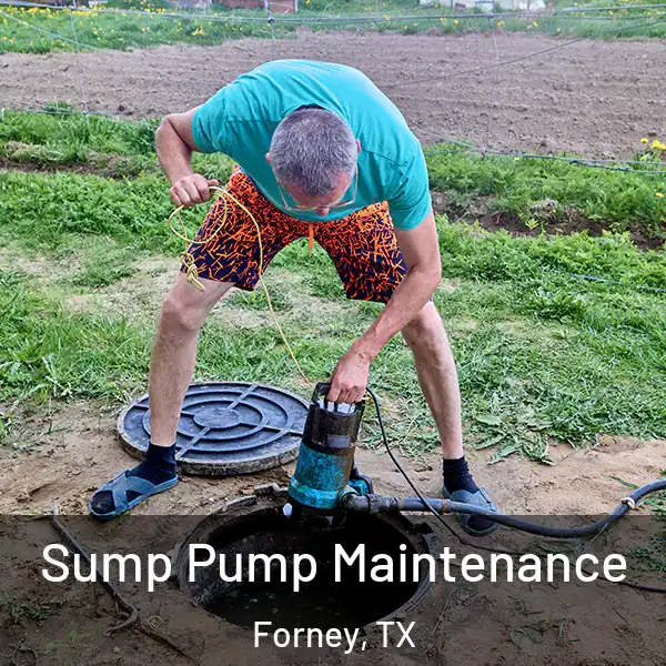  Sump Pump Maintenance Forney, TX