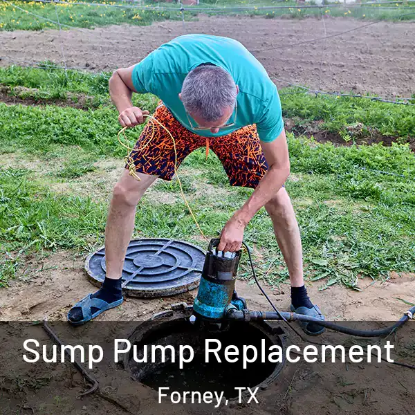  Sump Pump Replacement Forney, TX