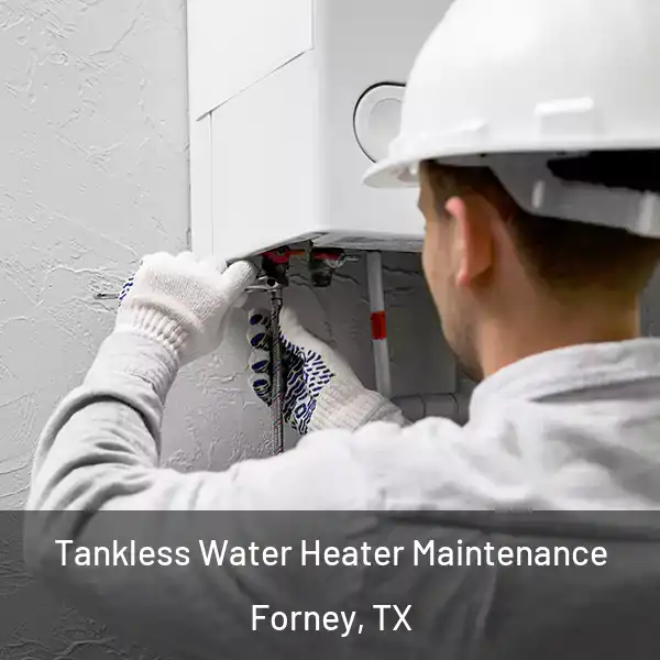  Tankless Water Heater Maintenance Forney, TX