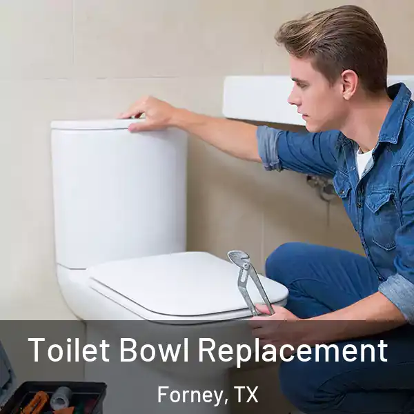  Toilet Bowl Replacement Forney, TX