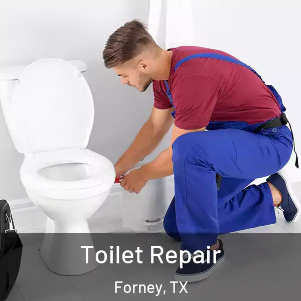  Toilet Repair Forney, TX