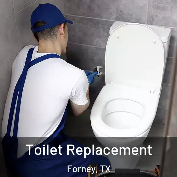  Toilet Replacement Forney, TX