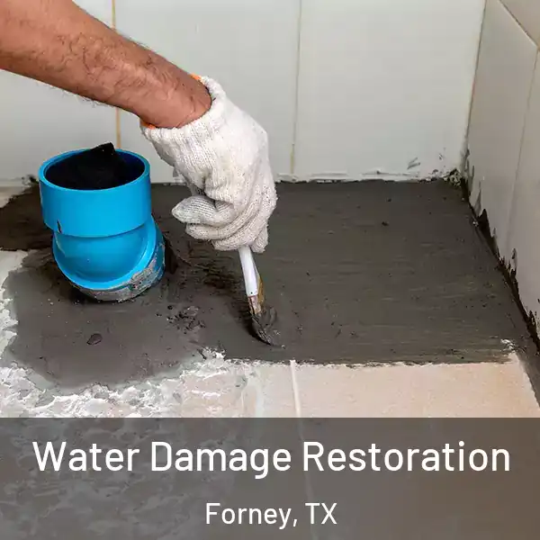  Water Damage Restoration Forney, TX