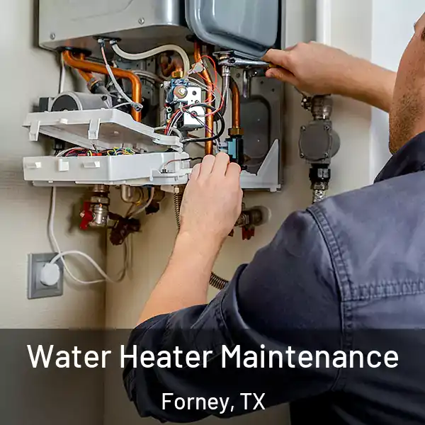 Water Heater Maintenance Forney, TX