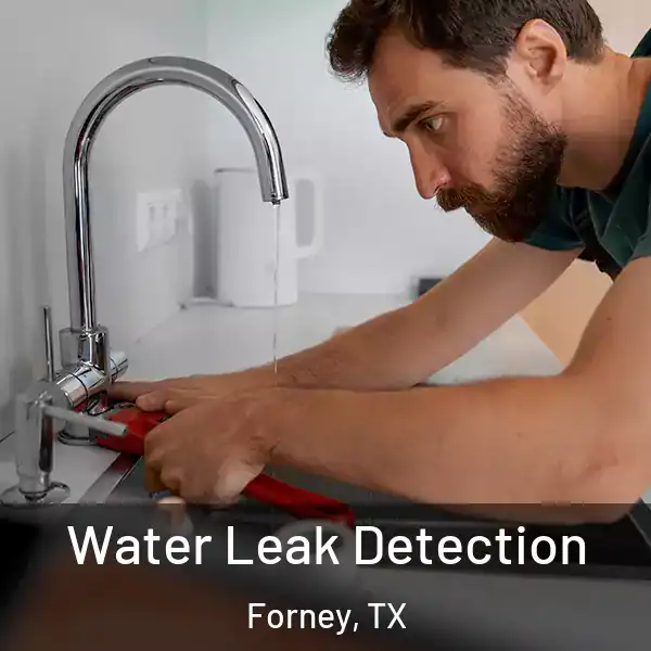  Water Leak Detection Forney, TX