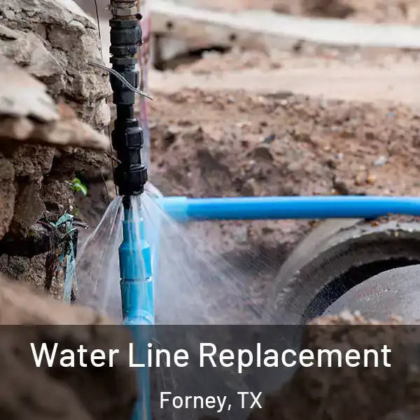  Water Line Replacement Forney, TX